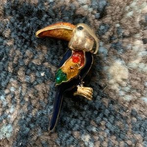 Toucan brooch